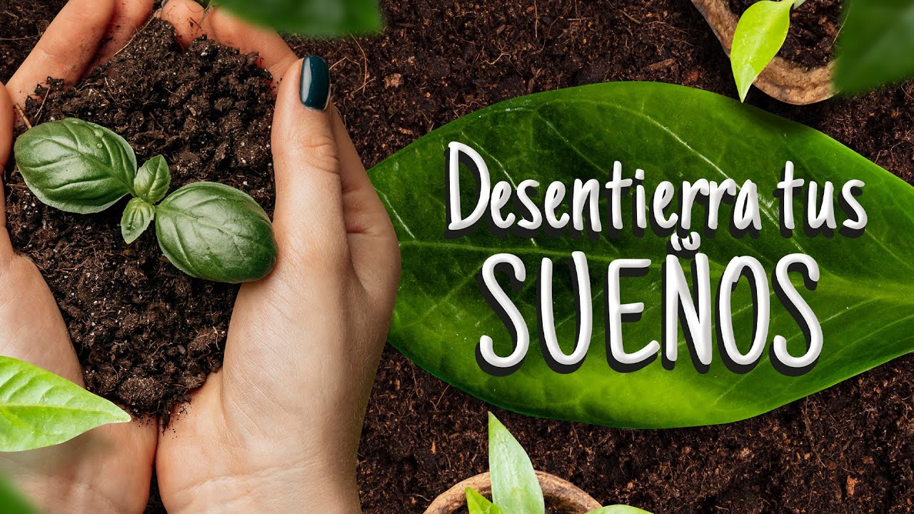 Manos unidas sosteniendo una plantica con tierra - Desentierra tus sueños